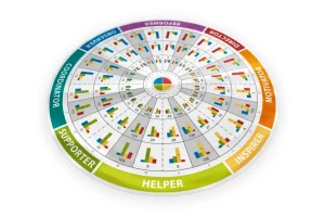 Insights Discovery